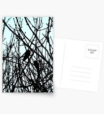 Blackbirds Postcards