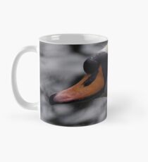 Mute Swan Mug