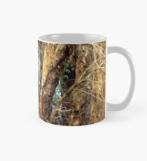 Paper Bark Trees (Melaleuca quinquenervia) Mug