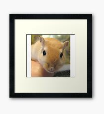 Tao Framed Print