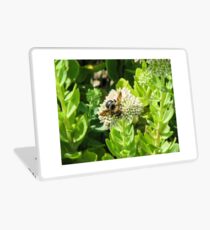 bumble bee Laptop Skin