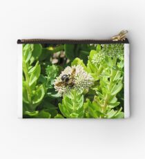 bumble bee Studio Pouch