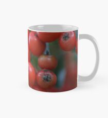 Firethorn Berries Classic Mug