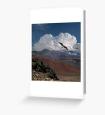 183 Greeting Card