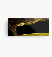 Night Light Metal Print