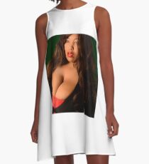 Perfection A-Line Dress