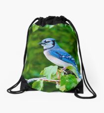 Blue Jay Drawstring Bag