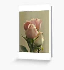 Soft Roses Greeting Card