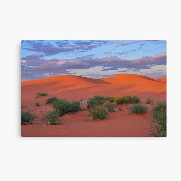 Dunes and Paddy Melons Canvas Print