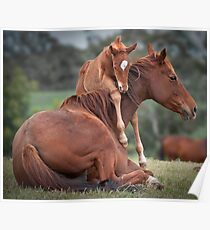 Love You Mum Poster