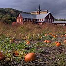 Pumpkin Farm by shawng13