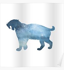 Saber toothed cat Poster
