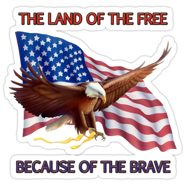 home of the free because of the brave painting