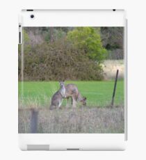 Kangaroos iPad Case/Skin