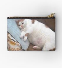 Sad Cat On A Couch Studio Pouch