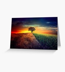 I wonder Greeting Card