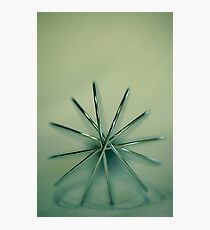 whisk Photographic Print