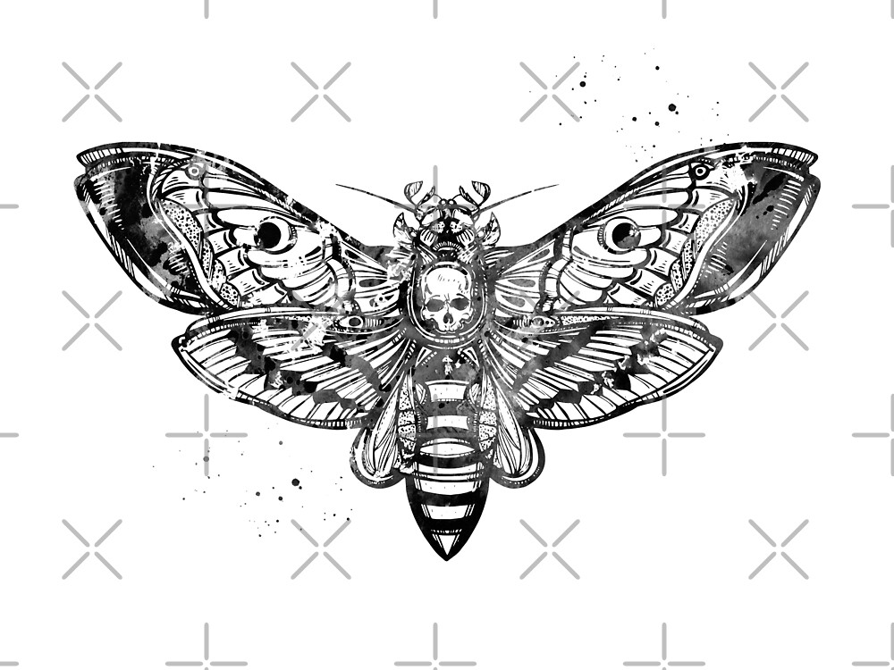 "Death's head, Moth poster" by erzebetth | Redbubble