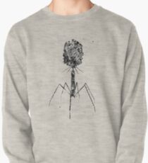 Bacteriophage Pullover