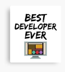 Developer Best Ever Funny Gift Idea Canvas Print
