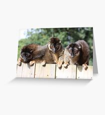 on the fence Greeting Card