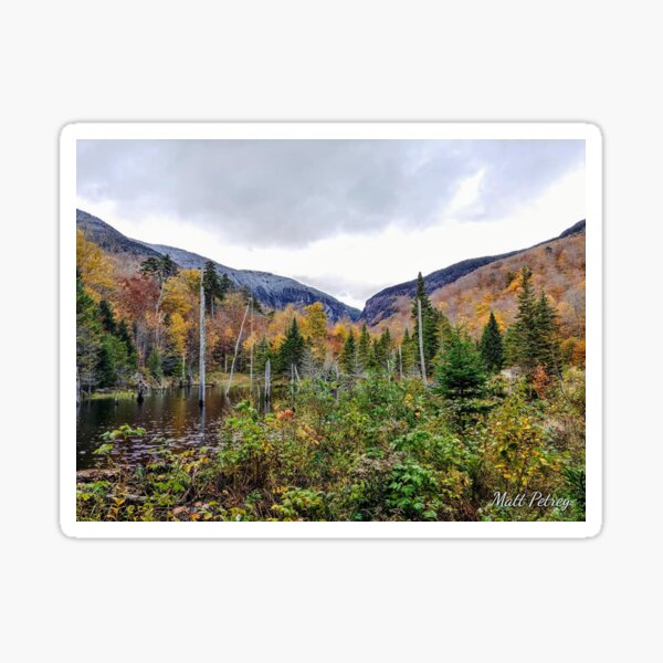 swamp in fall Sticker
