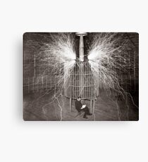 Tesla In Study Canvas Print