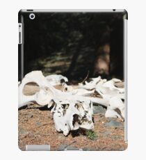 Colorado Cow Skulls iPad Case/Skin