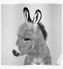 Donkey - Black & White Poster