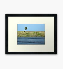 Alone! Framed Print