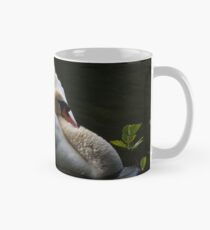 Mute Swan Mug