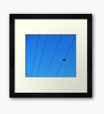 bird on a wire Framed Print