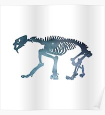 Saber toothed cat skeleton Poster