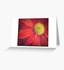 Sun Flares Greeting Card