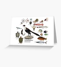 Lithographica Greeting Card