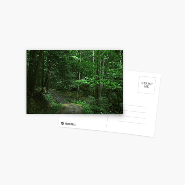 Hunlin Holler Postcard
