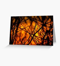 Illuminating Orange Sunset Greeting Card