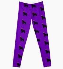 Newfie Royalty Leggings