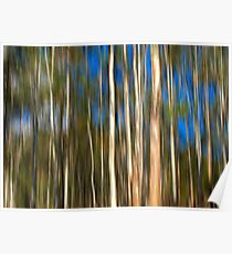 Among The Gum Trees Poster