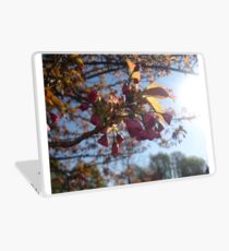 Macro Laptop Skin