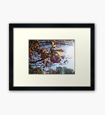 Macro Framed Print
