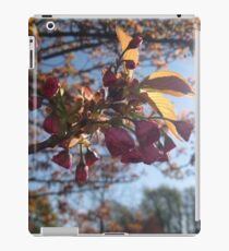 Macro iPad Case/Skin