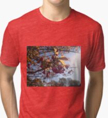 Macro Tri-blend T-Shirt