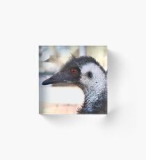 Emu 3 Acrylic Block