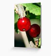 Currant Greeting Card