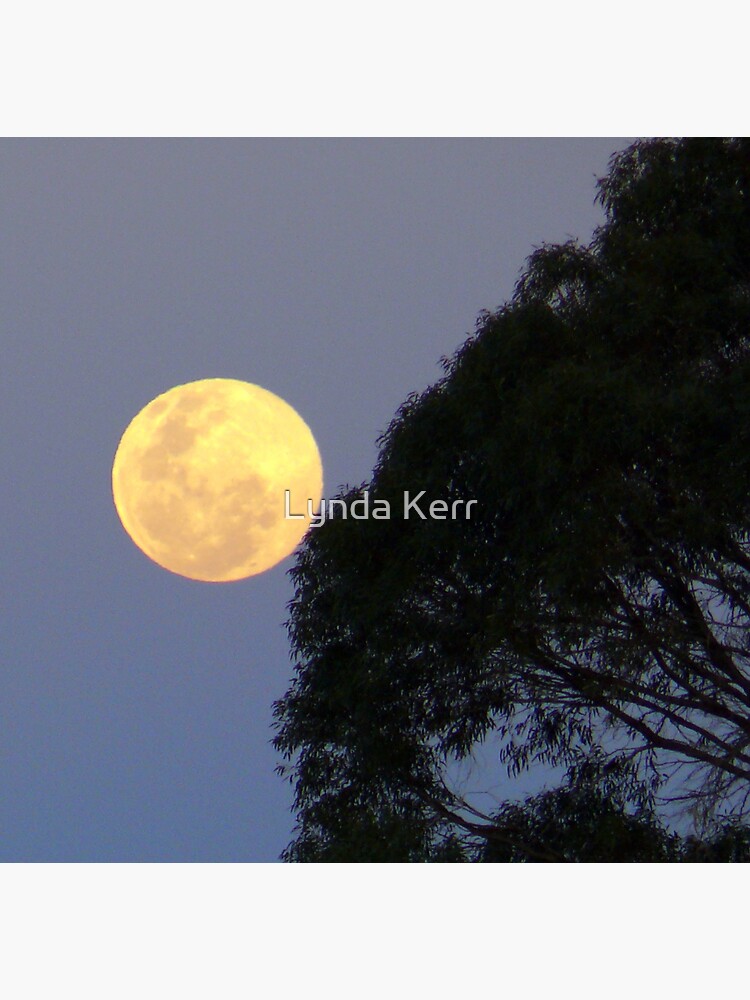 Moon in Scorpio. by 4sure