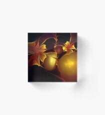 Exotique Acrylic Block