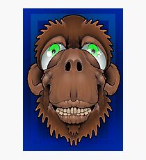 Silly Monkey Photographic Print