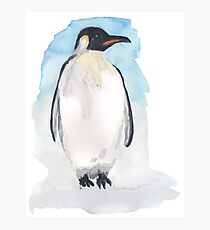 Emperor Penguin Photographic Print