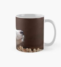 DEXTER.... Mug